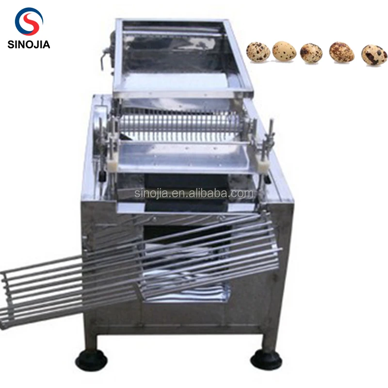Hot Sales Quail Egg Shell Peeling Machine / Automatic Quail Egg Peeler