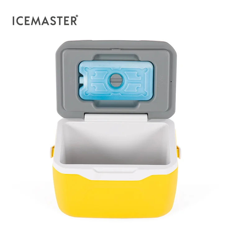 Лидер продаж рекламная кулер IceMaster высшего качества на заказ для морозильной камеры