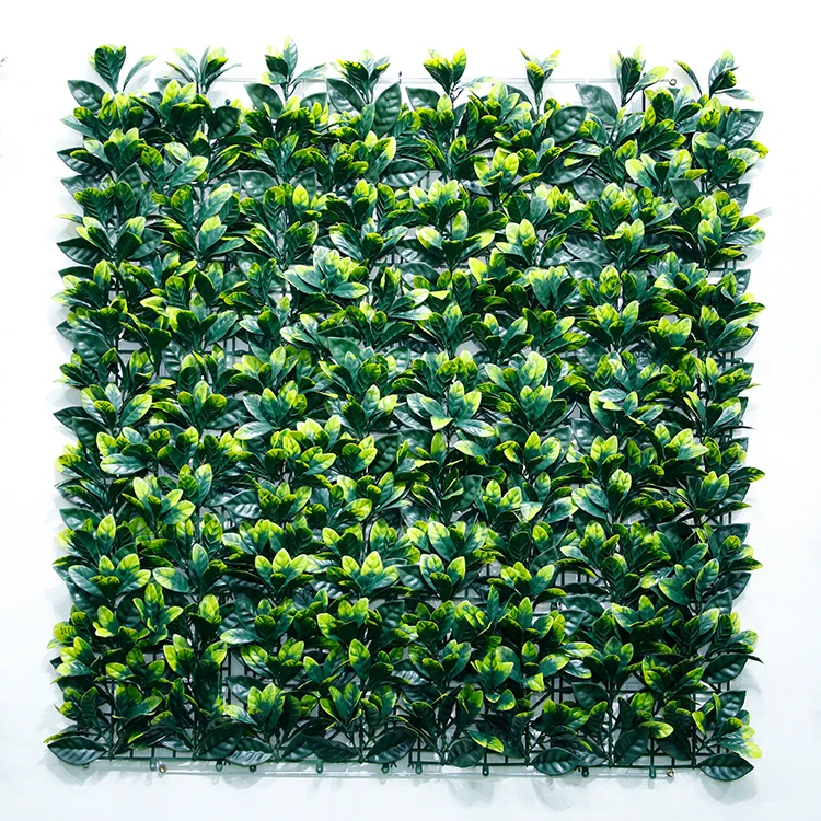 Moss Decoration Wall preserved green moss real stabilized moss decoration wall