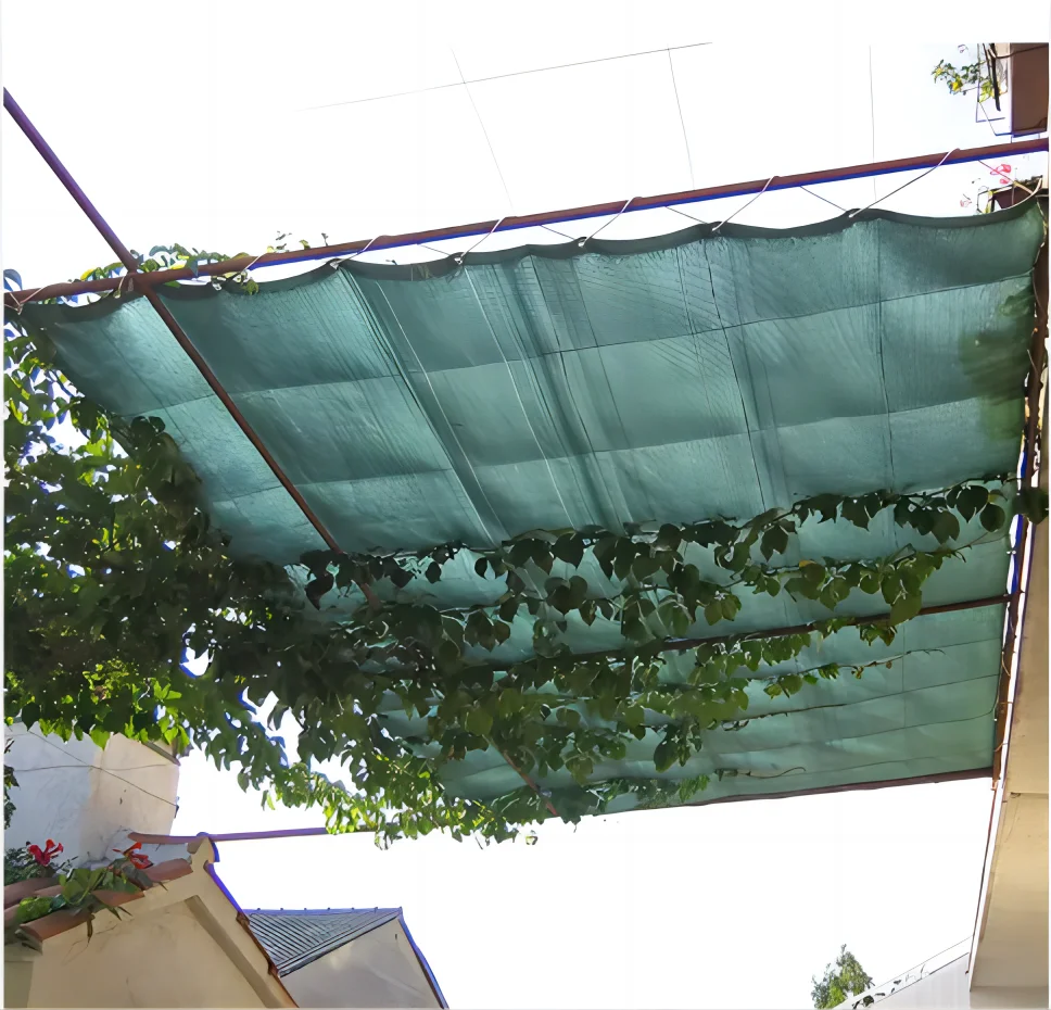 60%70%80% 3m 50m Virgin Material Sun shade Netting For Agricultural