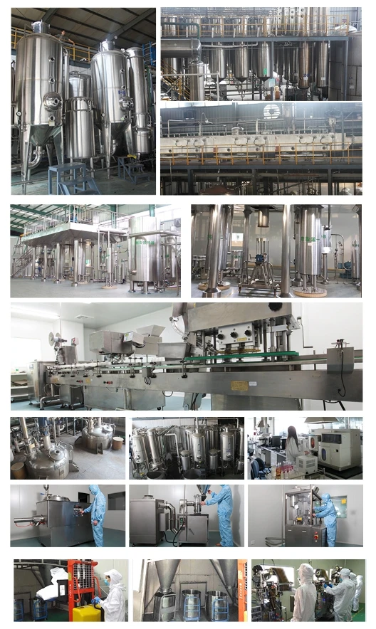 Factory Supply Alkaline protease powder high quality Alkaline protease probiotics powder Alkaline protease