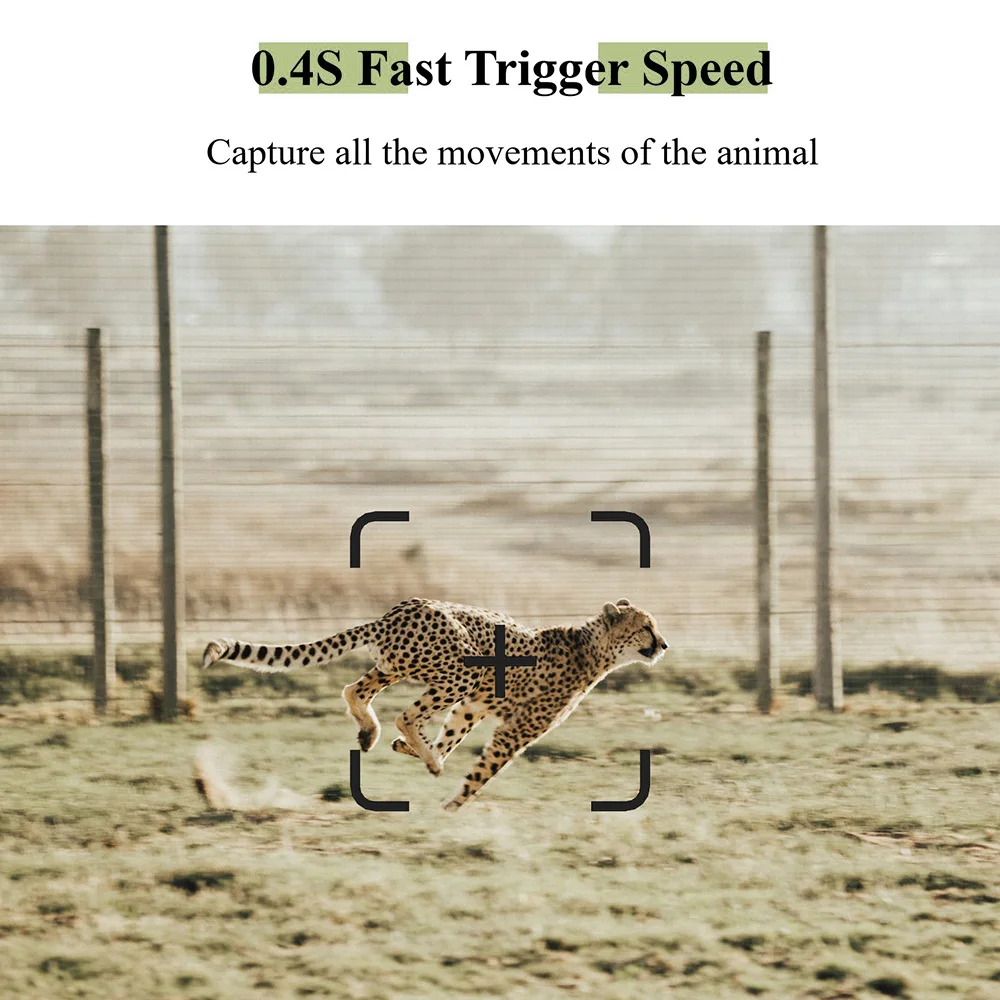 WILLFINE 4G wildcamera met app control sim card wildlife hunt cam hunting trail camera