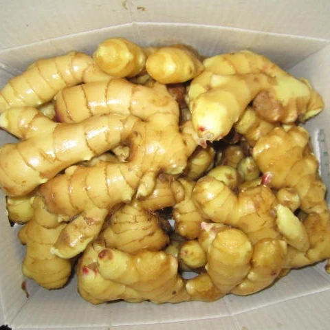 2021 новый урожай свежего имбиря, чеснока от завода-поставщика, продажа корня имбиря, рыночная цена для эля