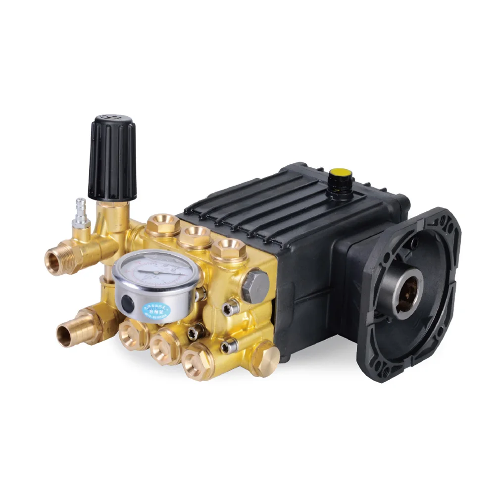 High Pressure Direct Drive Plunger Car Washer Pump With Pressure Switch Price