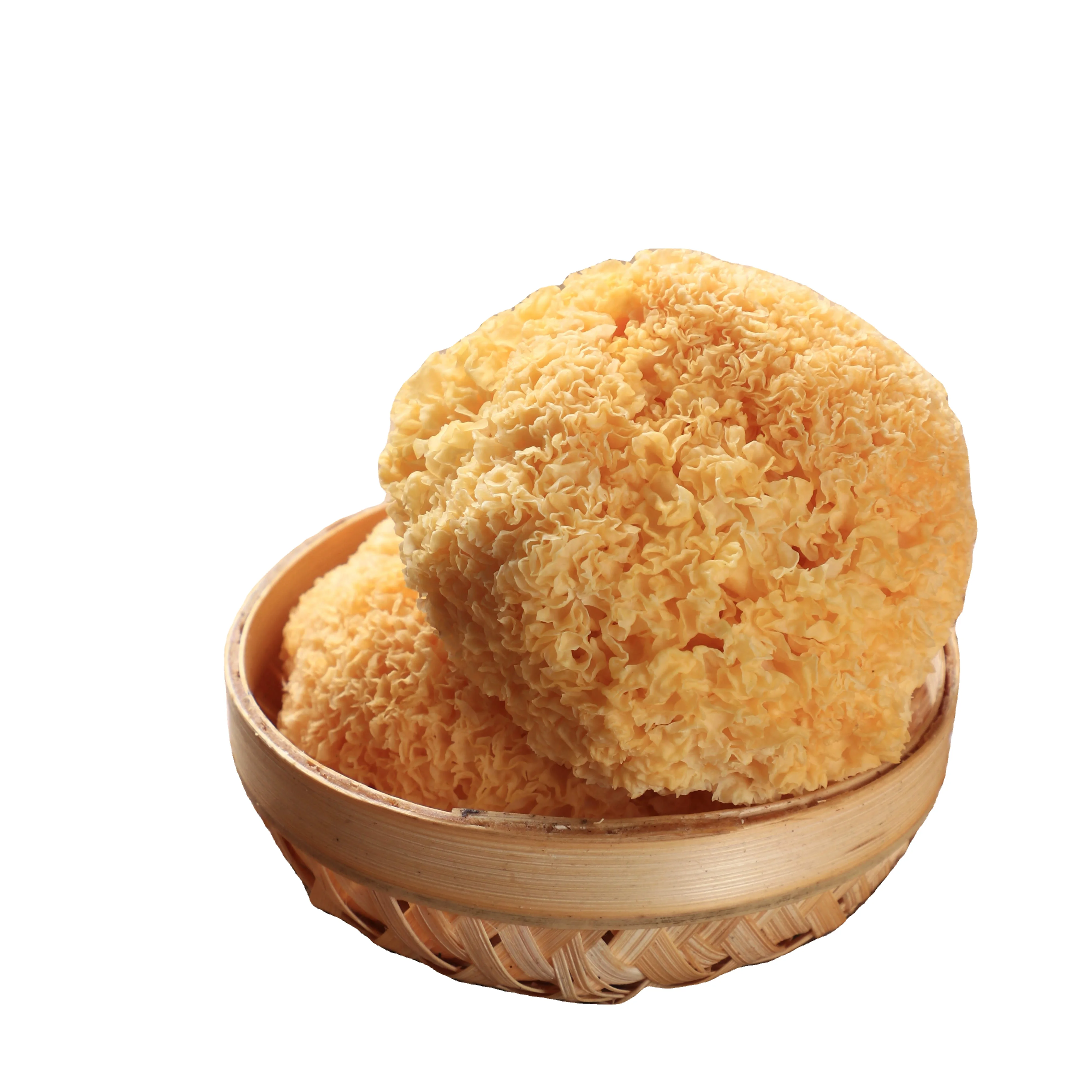 
high nutrition snow ear fungus china dried white fungus 