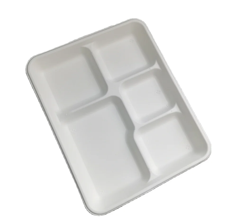 Disposable Bagasse Food Packaging Dishes 5-compartment Salad Biodegradable Fruit Tray Disposable Meat Tray