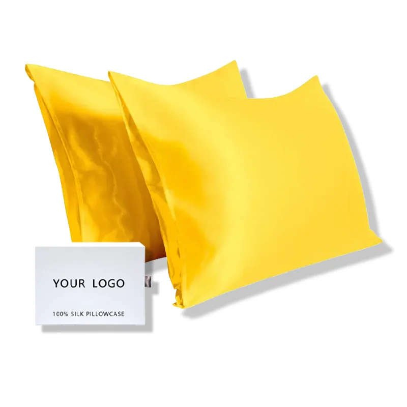 Anti-wrinkle natural silk pillowcase 6A grade 100% mulberry silk pillowcase new silver ion silk pillowcase