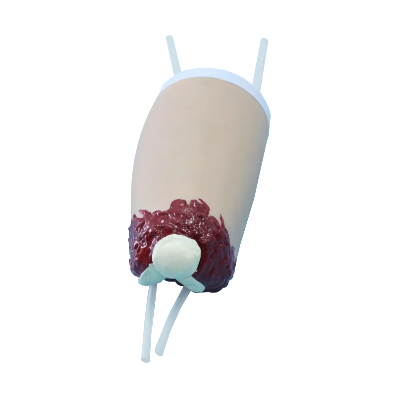 ADA-H3008 Lower amputated limbs trauma hemostasis model