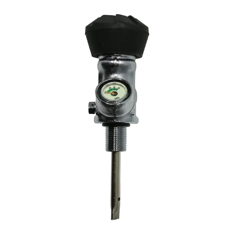 Acecare  2020 High Pressure Pcp Air Gun Pcp Cylinder Valve With Carbon Fiber  Cylinder For Hunting