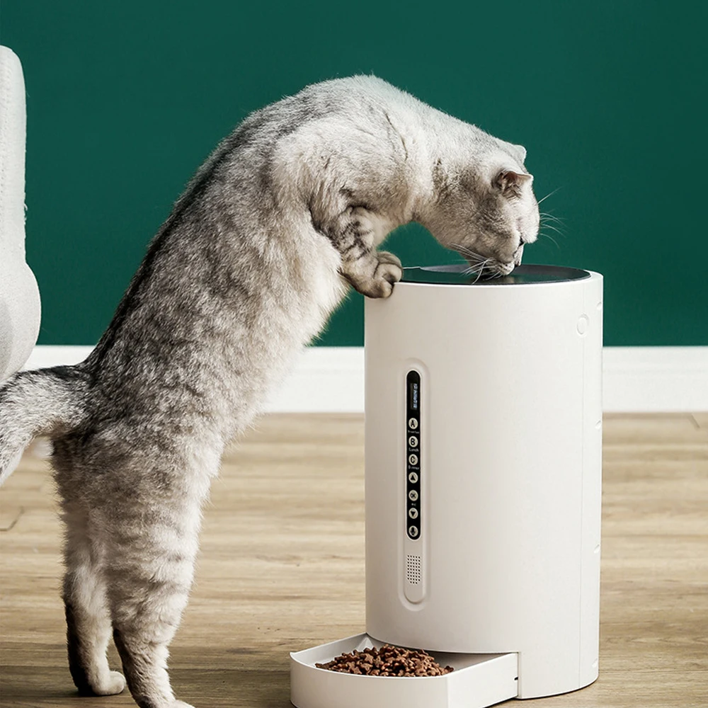 Pet intelligent automatic feeder timing ration feeder anti-stuck food design for cats and dogs feeding