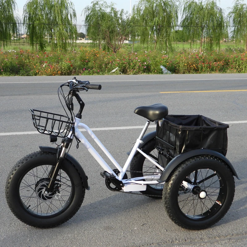 Stock Power Snow Electric Bicycle Big Three Wheel E Trikes Ebike On Sale Fat Tire Tricycle Cargo Bike Tricycle Electric Adult