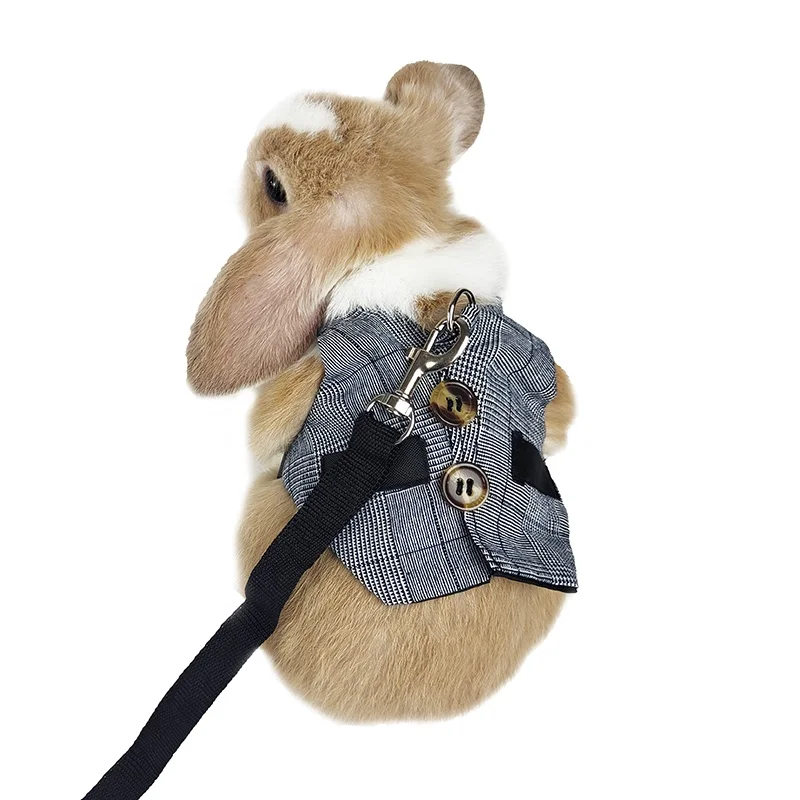 Filhome Adjustable Rabbit Bunny Harness and Leash Set, Rabbit Bunny Clothes Outfit for Ferret Guinea Pig Rabbit Bunny Hamster