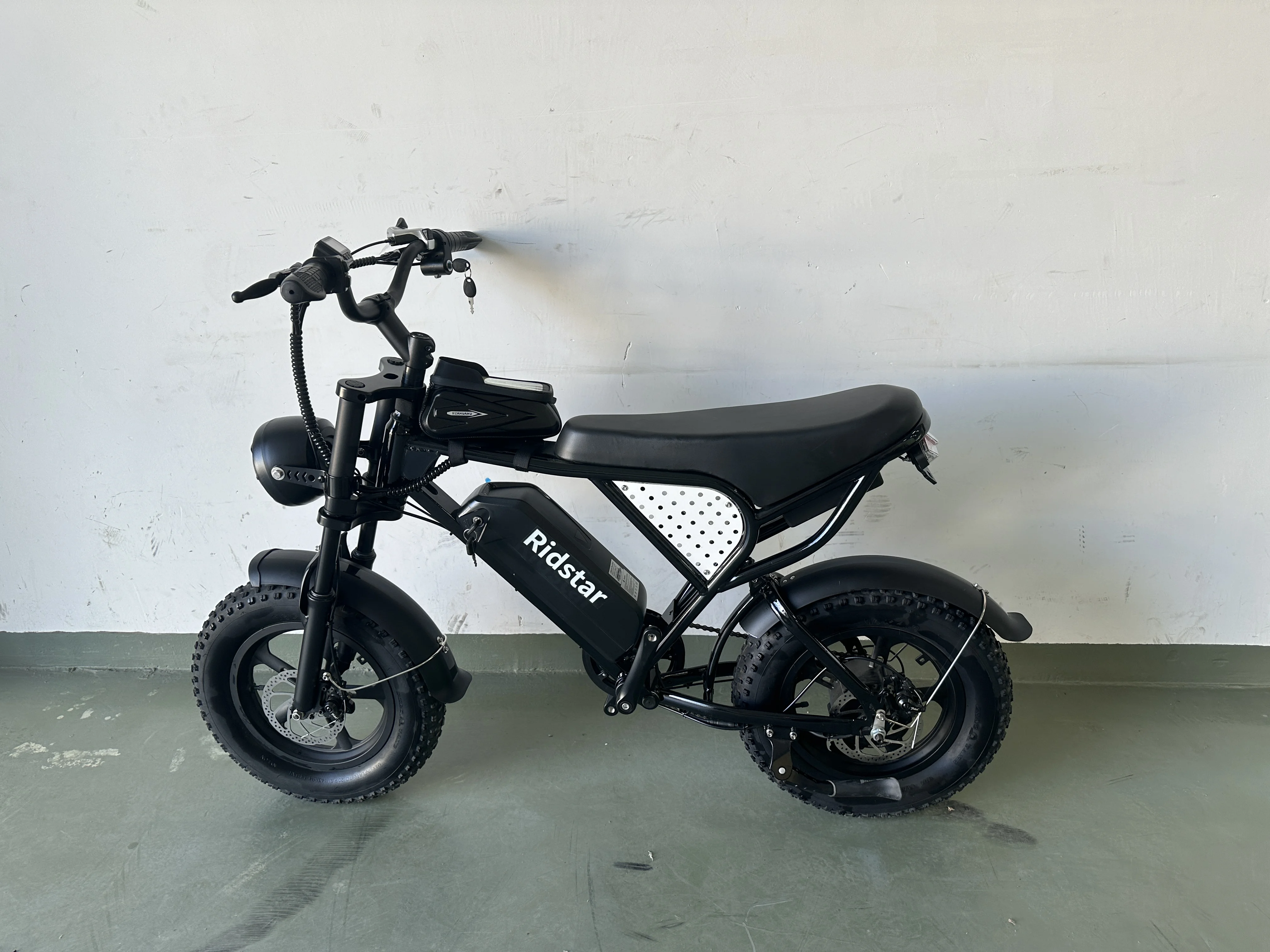 Factory Wholesale Fat Tire Central Mid Drive Dual Lithium Battery Ebike Aluminum Alloy Oem Electric Mountain Bike 16 Inch 1000w