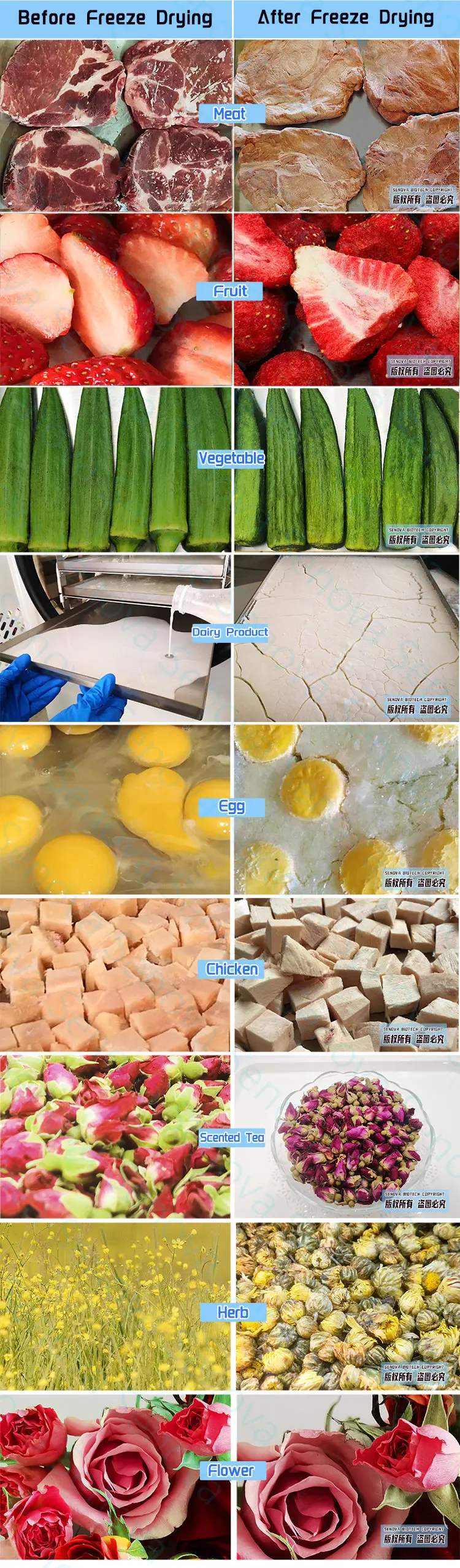 AFT-BEFORE-DRY-JB750SY (1)