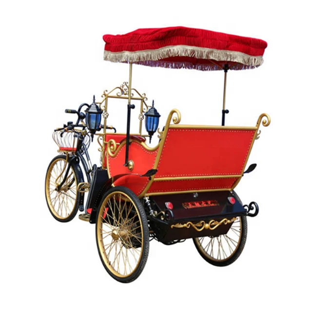 2022 Лидер продаж туристический велосипед Rickshaws для продажи китайские производители с цветами трехколесный pedicab осмотра