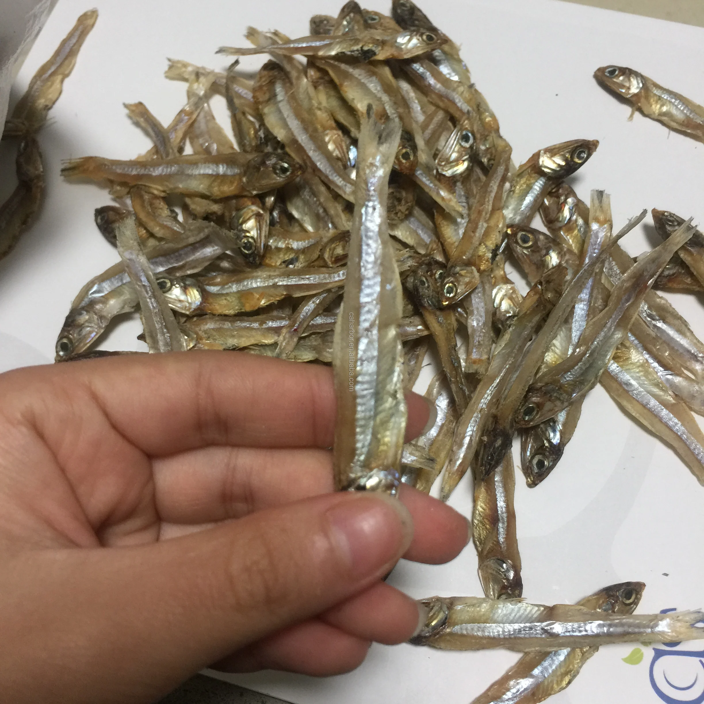 China origin  Dried Anchovy for Human