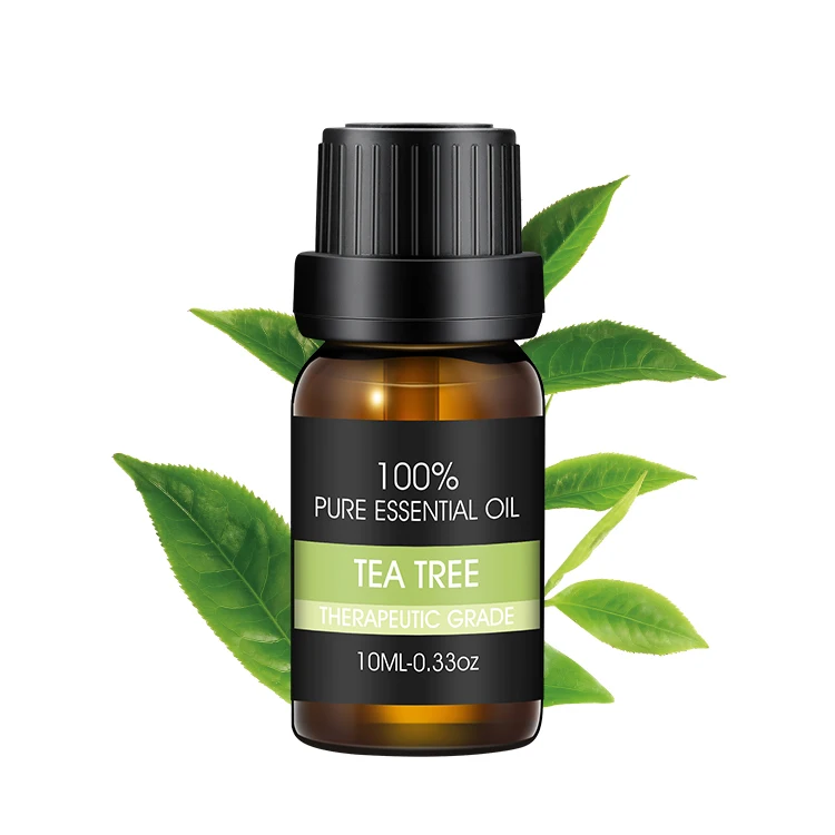 Manufacturers Wholesale 100% Natrual Flower Buyers Of Buying Eucalyptus Essential Oils