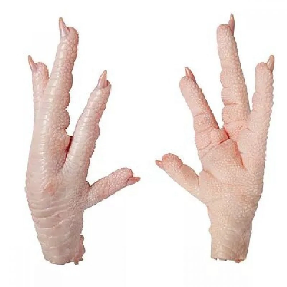 Approved SIF Frozen Chicken Feet_ SIF number 490