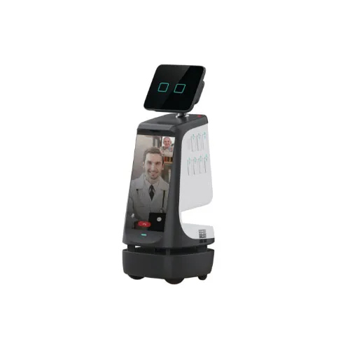 2024 AI Commercial Welcome Robotics Receptionist Automatic Greeting Outdoor Home Security Alert Assistant Work Robot