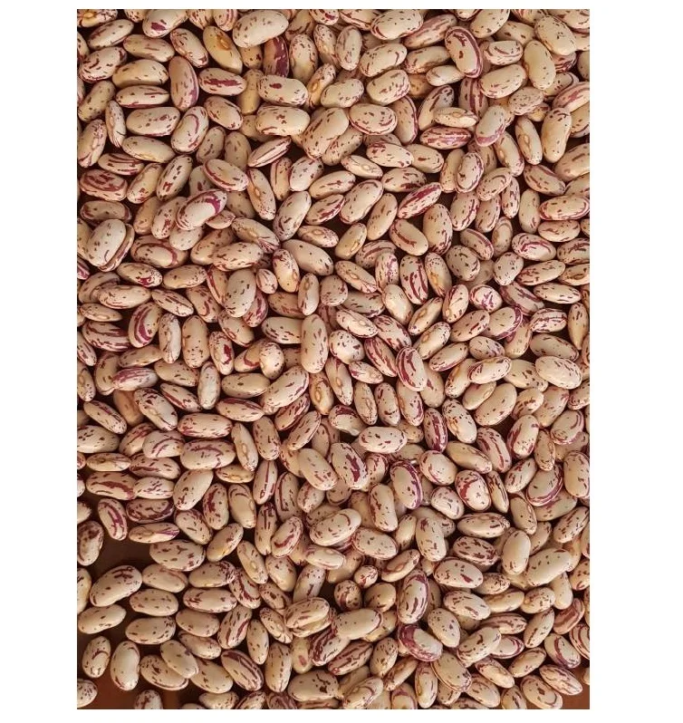 High Quality Healthy Light Speckled Kidney Beans For Wholesale