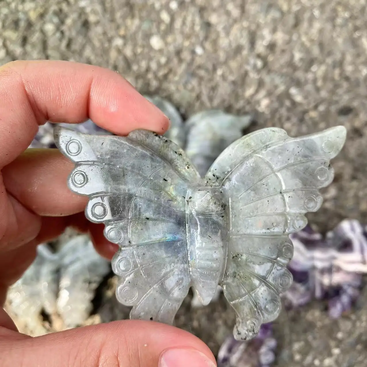 Natural Caved Crystal Stones Butterfly Shape Dream Amethyst Natural Labradorite Butterfly For Decoration