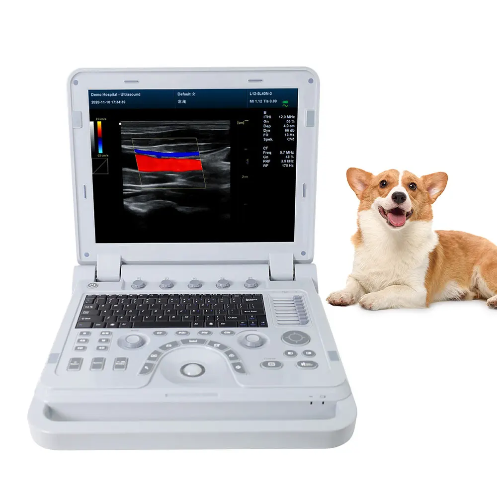 CONTEC CMS1700A Portable Laptop VET Ultrasound Scanner Machine Device Price for Animals