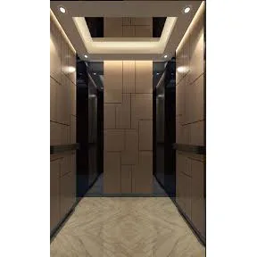 China Manufactory Hot Sale Passenger Elevator with Good Safety