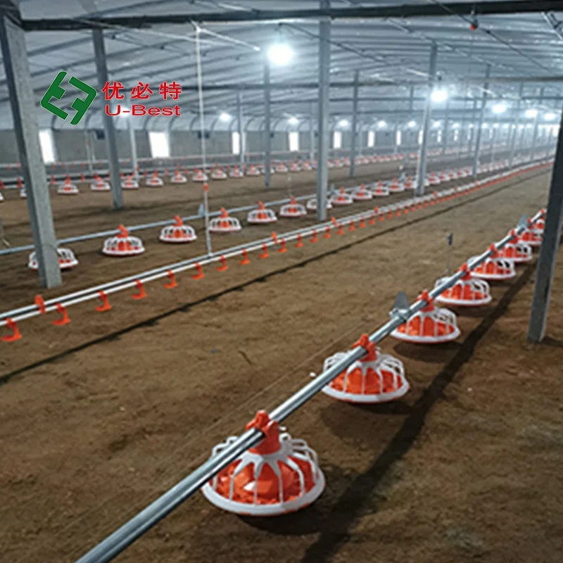 Poultry chicken farm equipment  broiler raising equipment