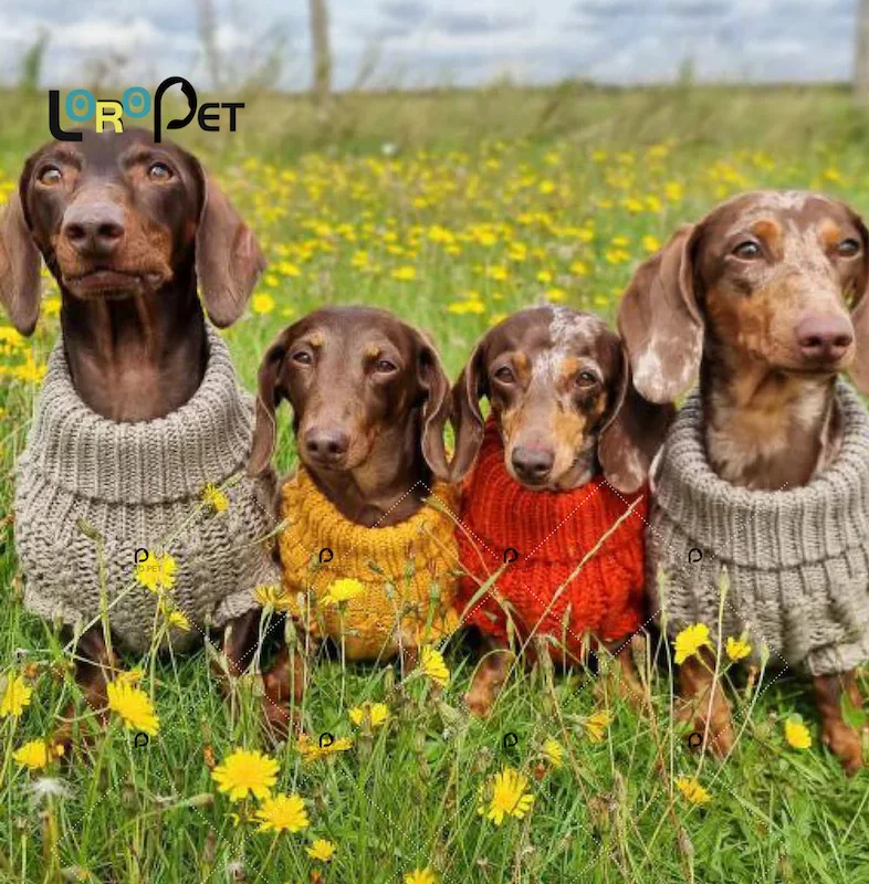 Factory Customized Winter High Quality Pet Clothing Apparel Luxury Dog Clothes Dog Sweater