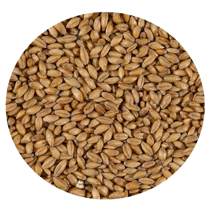 
 Оптовая продажа зерновых покрытий Emmer  