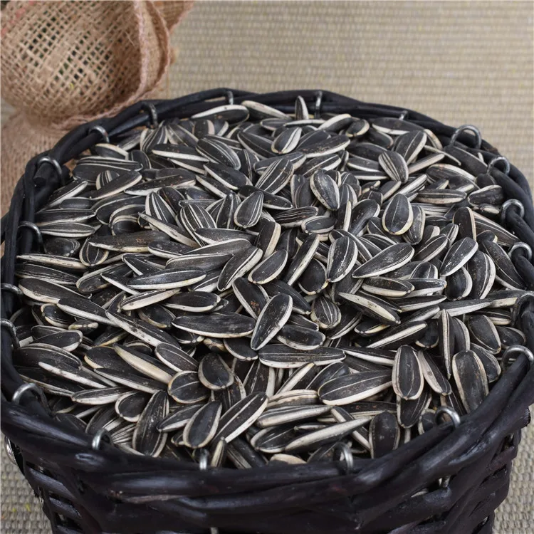 Семена подсолнечника Ouji Pure 361 Украина выращивание Урожай 2019 из Китая; Нея 0.3% макс. dutching 8% в течение 15 дней черного цвета