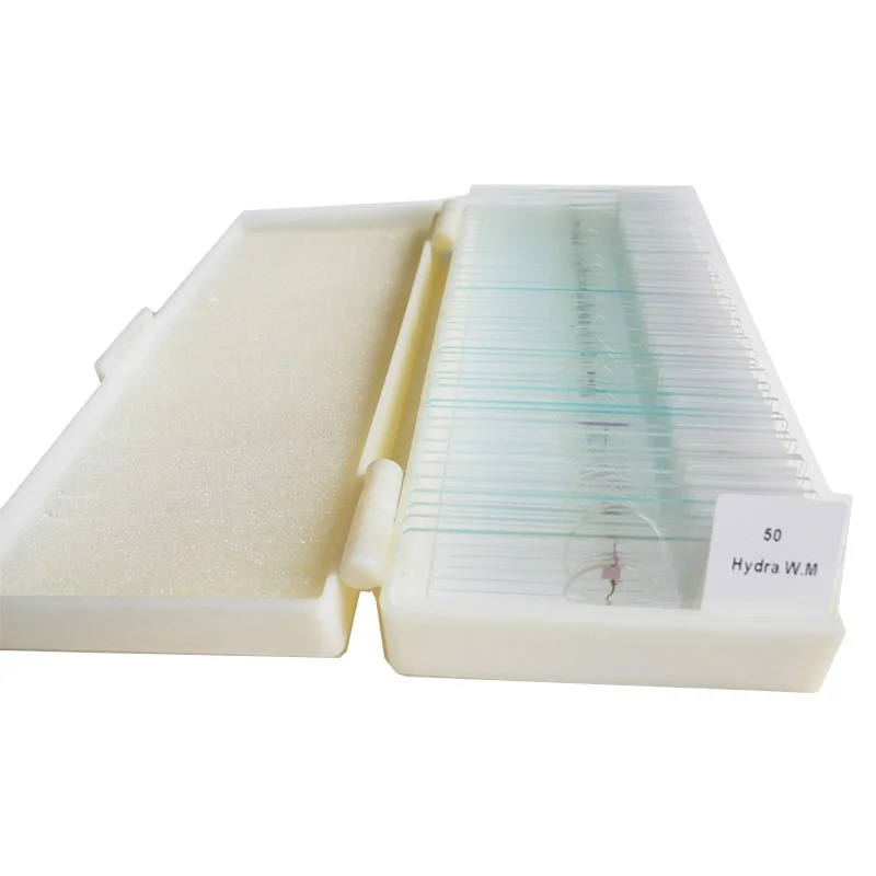 Medical Student Pathology Microscope Slide Medical Zoology Parasitology Microscope Slide Preparation