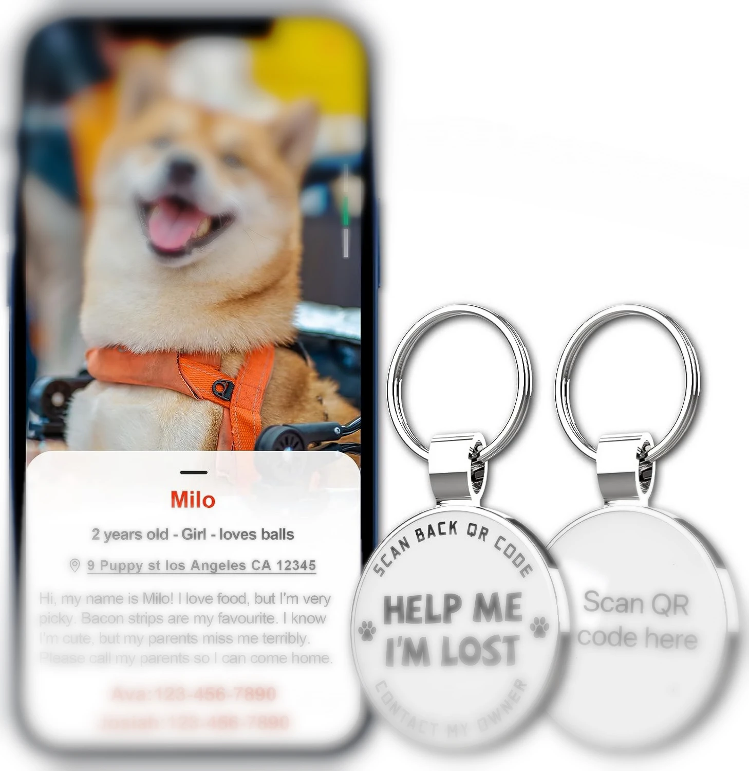 QR Code Pet ID Dog Tags - Pet Online Profile - Scan QR Receive Instant Pet Location Alert Email