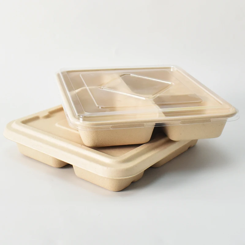 Disposable Paper Sugarcane  Food  Containers Ecofriendly Brownies Heat Seal Take  Away  Lunch Box