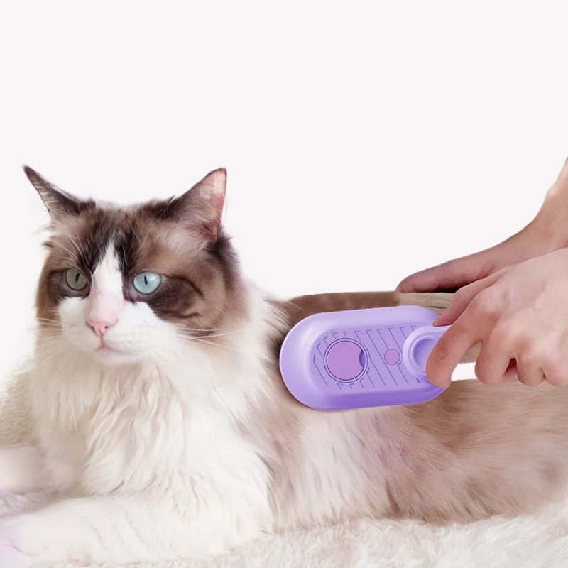 USB Chargeable Cat Comb with Moisturizer New Arrival Standing Pet Spray Comb for Dogs Ozone Operating System for Household Use