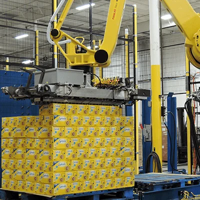 High Quality Custom Carton Box Low Level Robotic Palletizer Factory in China