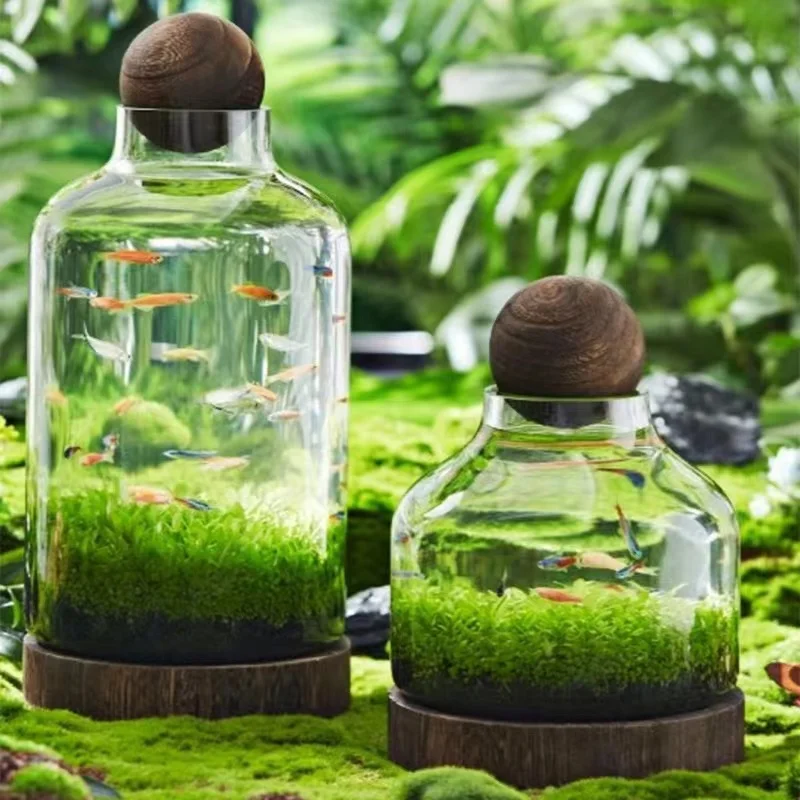 Terrarium Jars Wholesale Glass Material Clear Geometric Indoor Plant Glass Terrarium Bottle Biodome Rainfore Terrarium Jar