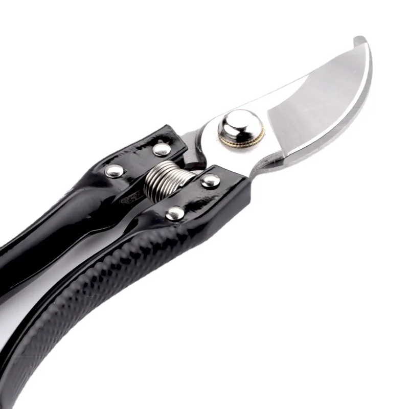 Wholesale Professional Branch Pruner Shears Professional Garden Pruning Tools Bypass Lawn Scissors Clippers Branch Pruner