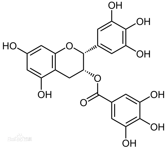 
EGCG manufacturer supply high purity green tea extract Powder 98% Epigallocatechin Gallate / EGCG 