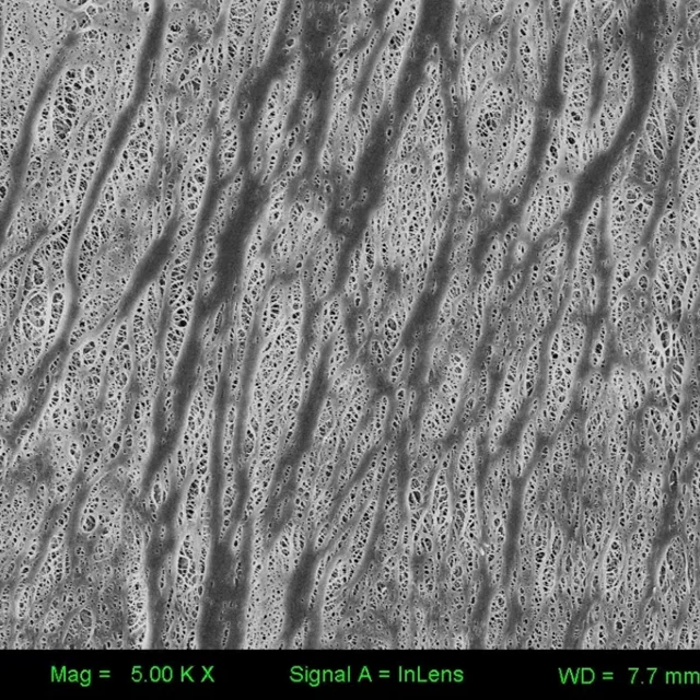 Полипропиленовая Микропористая мембранная пленка фильтра