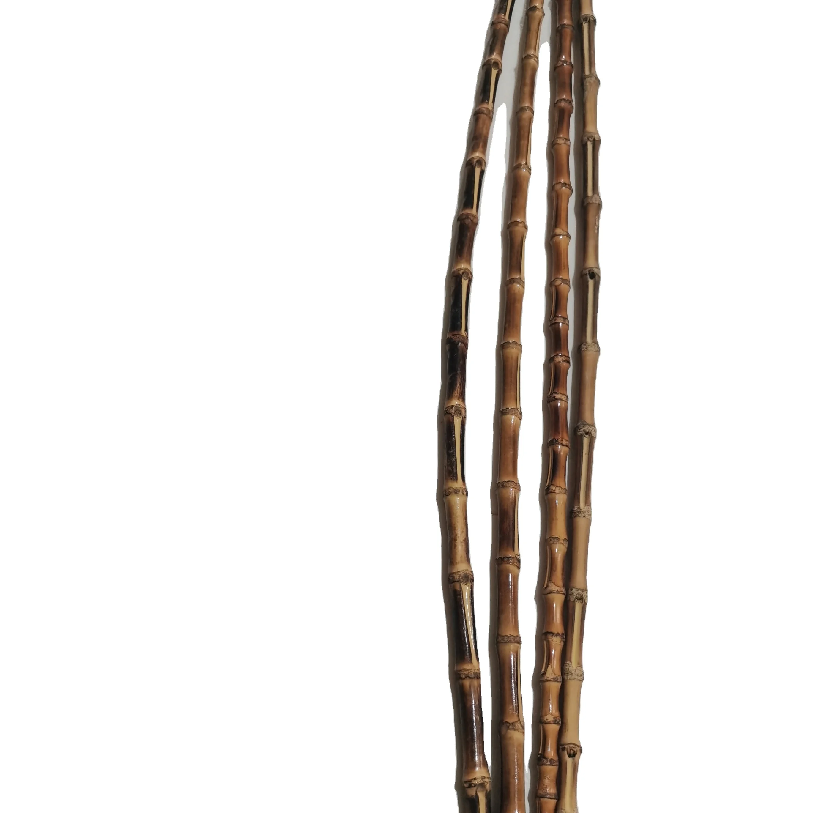 FD-Good Quality Natural Bamboo Root Canes natural bamboo root, bamboo whip