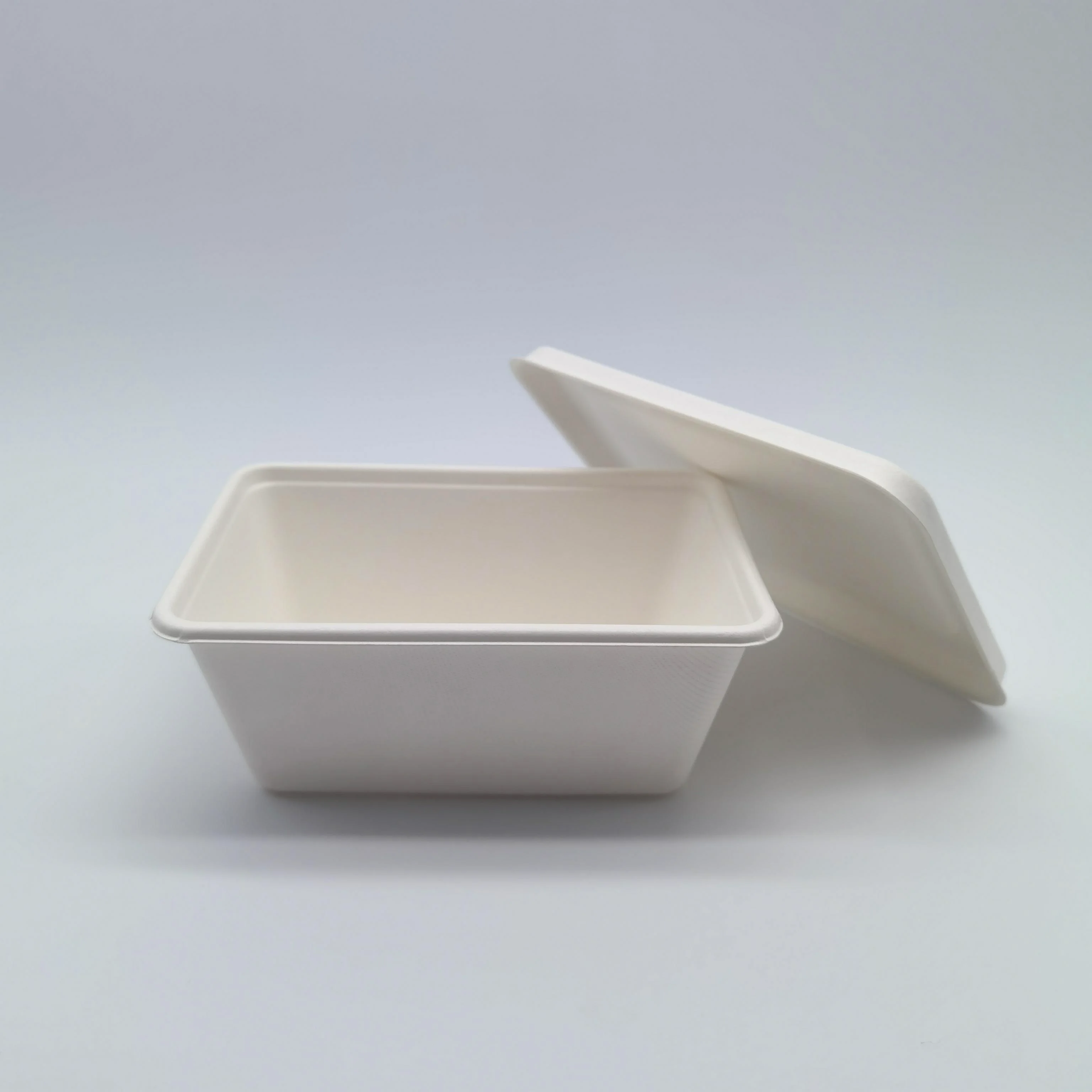 100% Compostable Biodegradable Sugarcane Bagasse Bento Box Bamboo Pulp Food Container