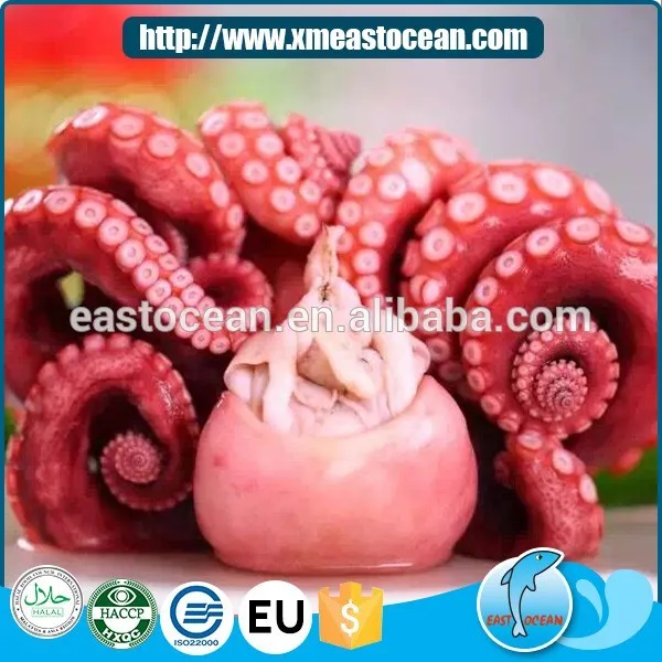 Замороженные Свежие Морепродукты оптом Осьминог обыкновенный весь