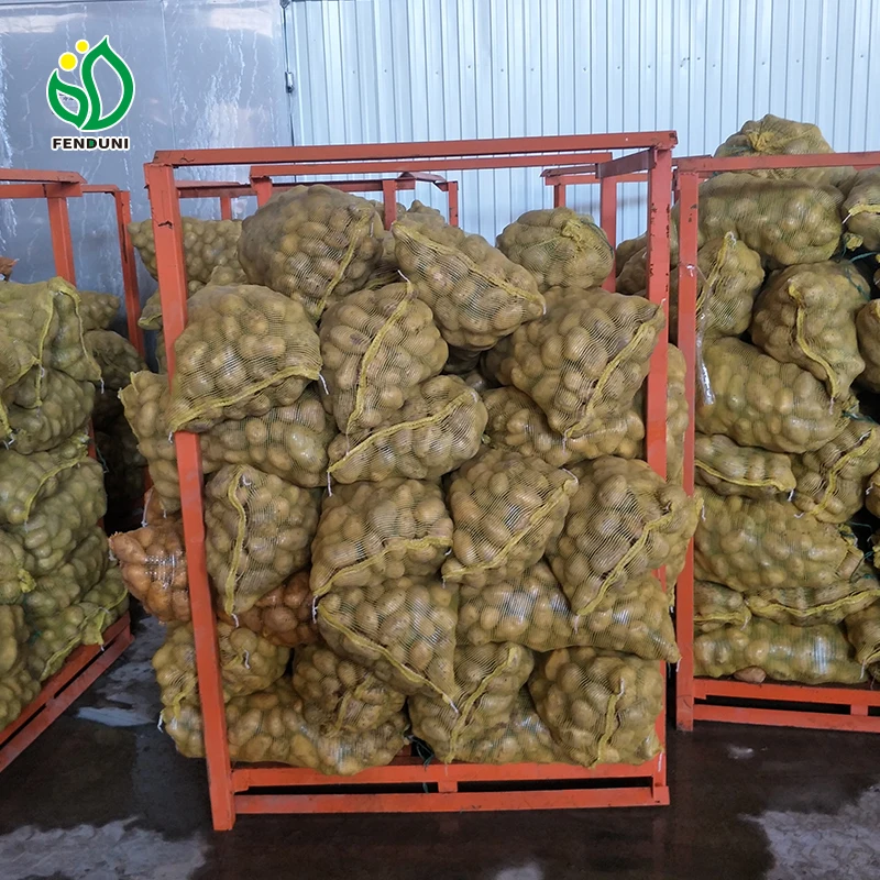 New crop fresh organic vegetables wholesale potato price of potato in bulk for export in China