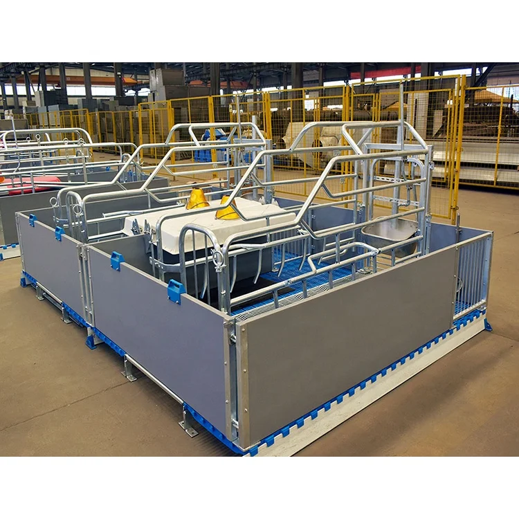 Diverse types europe farrowing crate maternity cages pigs farrowing pens for pigs