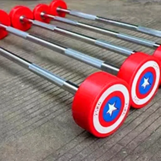 2022 Hot Sell Commercial Fitness Accessories/Gym accessories ASJ-P027 Straight Rubber Barbell