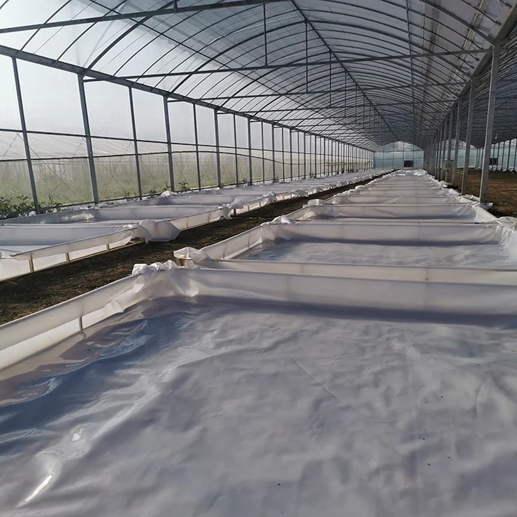 Janio New Product Wren Nourishing and Fattening Bird Feed