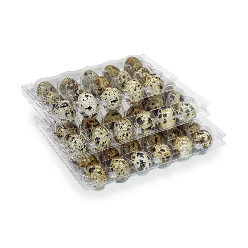 wholesale Disposable Quail Egg Packaging PET Clear Rectangular Plastic Quail Egg Tray with Lid