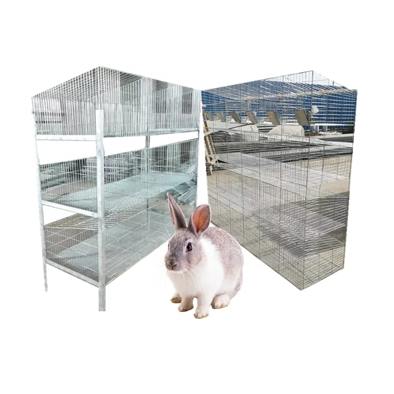 Competitive Equipment Morant Hutch Customized Size With Granular Feed Trough Installed Rabbit Cage