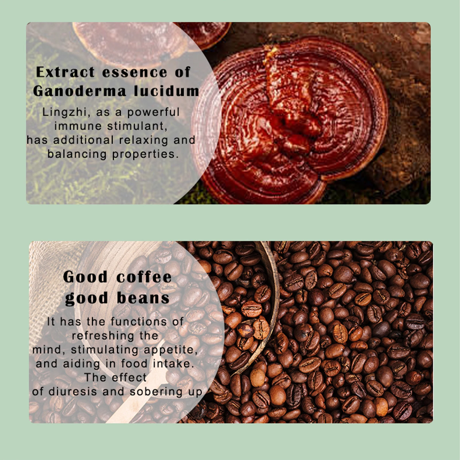 wholesale private label Ganoderma Lucidum Reishi Mushroom  Ling Zhi Powder Coffee  high quality organic